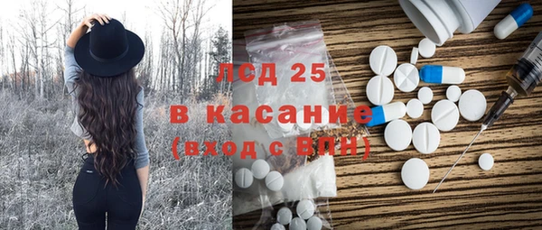 ПСИЛОЦИБИНОВЫЕ ГРИБЫ Абаза