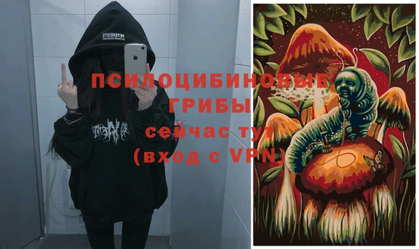 ПСИЛОЦИБИНОВЫЕ ГРИБЫ Абаза