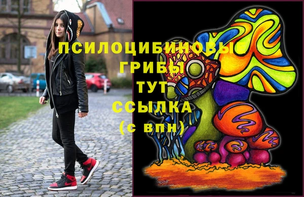 ПСИЛОЦИБИНОВЫЕ ГРИБЫ Абаза