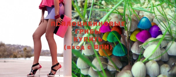 эйфоретик Кукмор